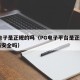 pg电子是正规的吗（PG电子平台是正规平台吗安全吗）